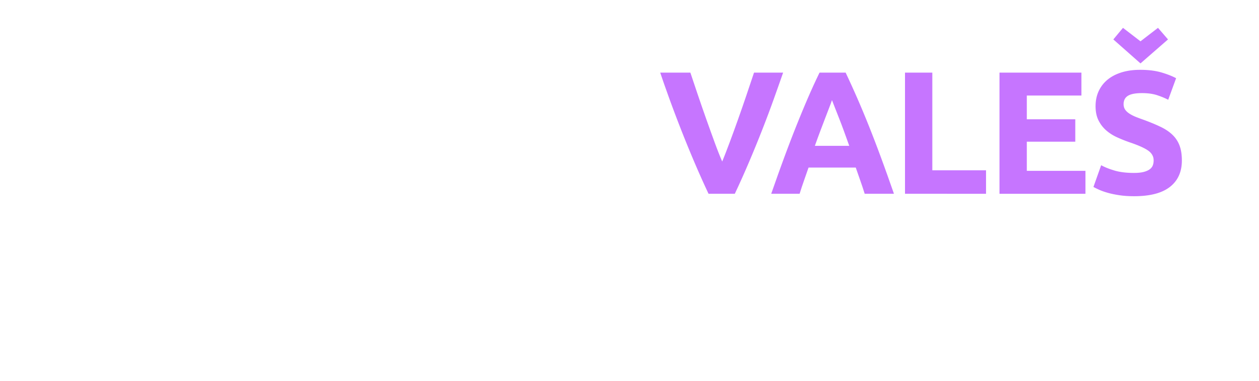 Obrázek partnera Jakub Valeš